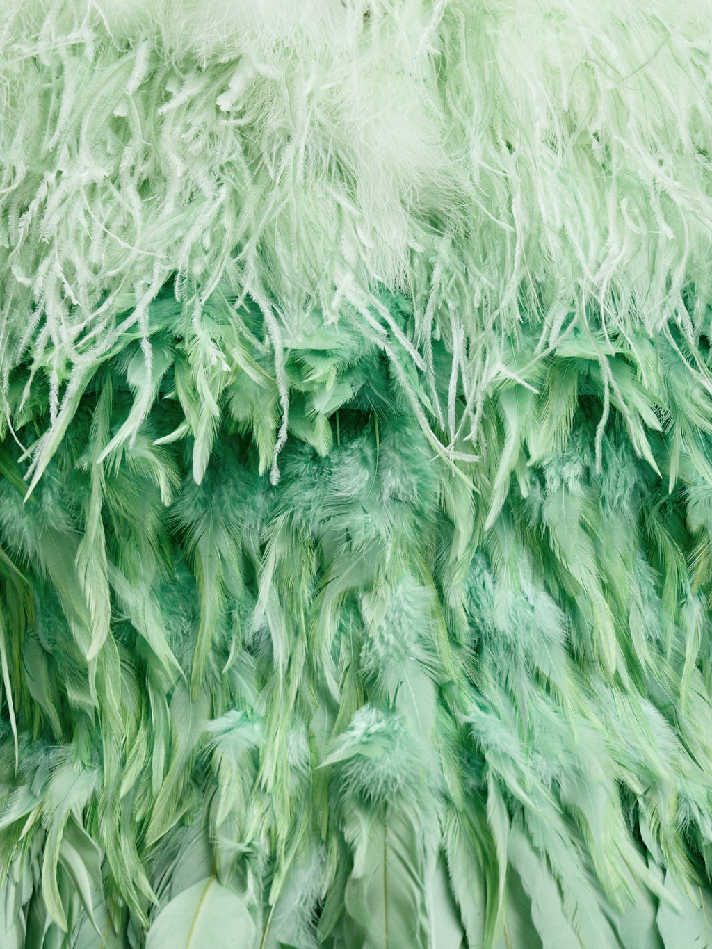 Mint Feathered Jacket